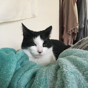 Meet your Posher, Mary louise